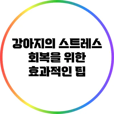 강아지의 스트레스 회복을 위한 효과적인 팁