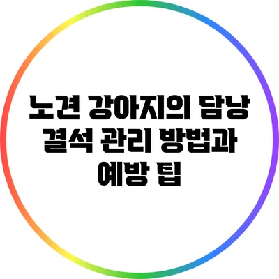 노견 강아지의 담낭 결석 관리 방법과 예방 팁