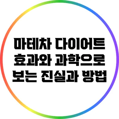 마테차 다이어트: 효과와 과학으로 보는 진실과 방법