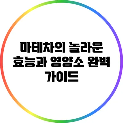 마테차의 놀라운 효능과 영양소 완벽 가이드