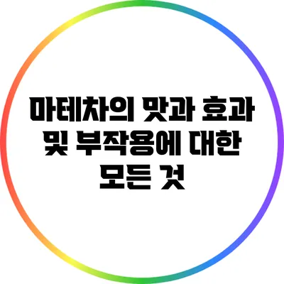 마테차의 맛과 효과 및 부작용에 대한 모든 것