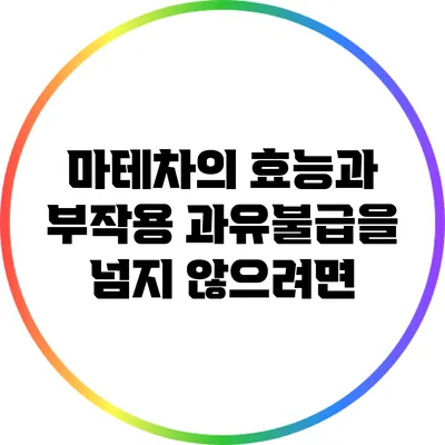 마테차의 효능과 부작용: 과유불급을 넘지 않으려면?