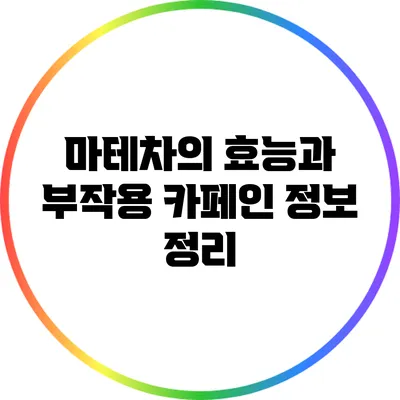 마테차의 효능과 부작용: 카페인 정보 정리