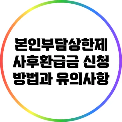 본인부담상한제 사후환급금 신청 방법과 유의사항