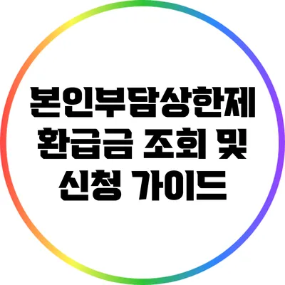 본인부담상한제 환급금 조회 및 신청 가이드