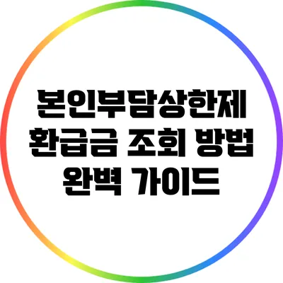 본인부담상한제 환급금 조회 방법 완벽 가이드