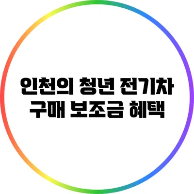 인천의 청년 전기차 구매 보조금 혜택