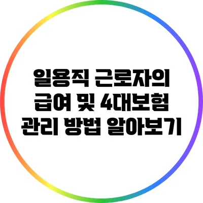 일용직 근로자의 급여 및 4대보험 관리 방법 알아보기