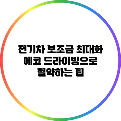 전기차 보조금 최대화: 에코 드라이빙으로 절약하는 팁