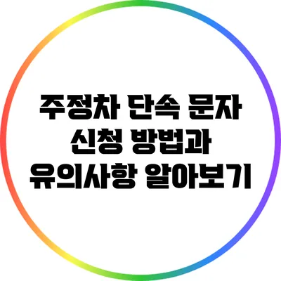 주정차 단속 문자 신청 방법과 유의사항 알아보기