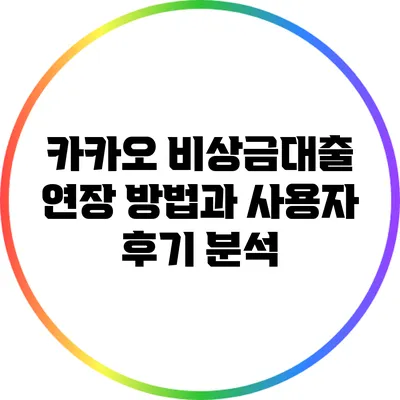 카카오 비상금대출 연장 방법과 사용자 후기 분석