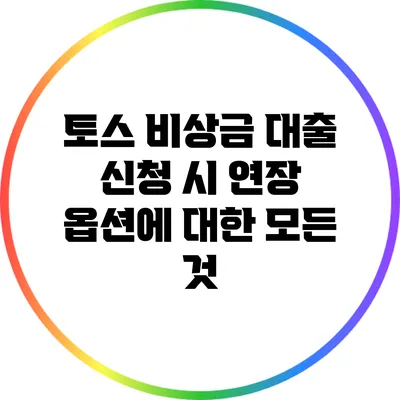 토스 비상금 대출 신청 시 연장 옵션에 대한 모든 것