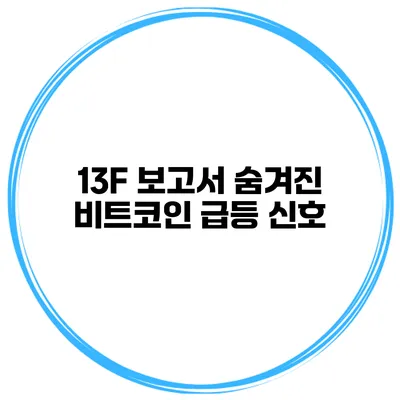 13F 보고서 숨겨진 비트코인 급등 신호
