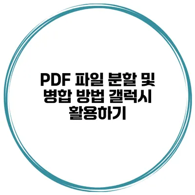 PDF 파일 분할 및 병합 방법 갤럭시 활용하기