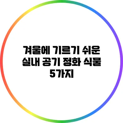 겨울에 기르기 쉬운 실내 공기 정화 식물 5가지