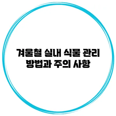 겨울철 실내 식물 관리 방법과 주의 사항