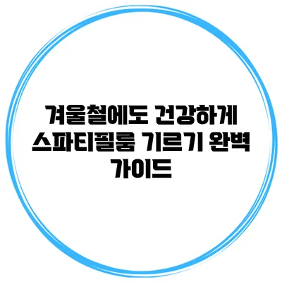 겨울철에도 건강하게 스파티필룸 기르기: 완벽 가이드