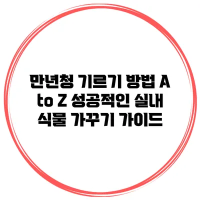 만년청 기르기 방법 A to Z: 성공적인 실내 식물 가꾸기 가이드