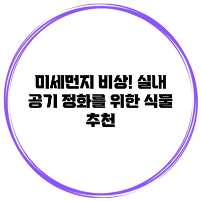 미세먼지 비상! 실내 공기 정화를 위한 식물 추천
