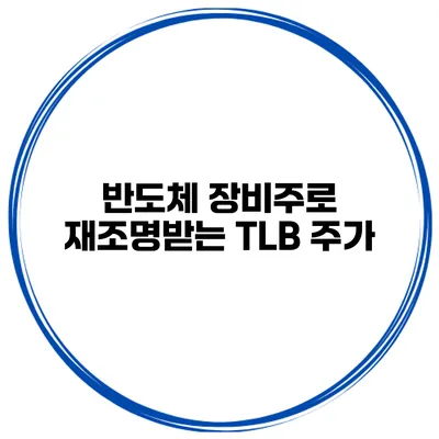 반도체 장비주로 재조명받는 TLB 주가