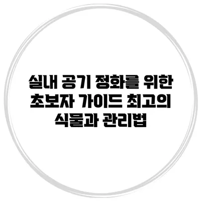 실내 공기 정화를 위한 초보자 가이드: 최고의 식물과 관리법