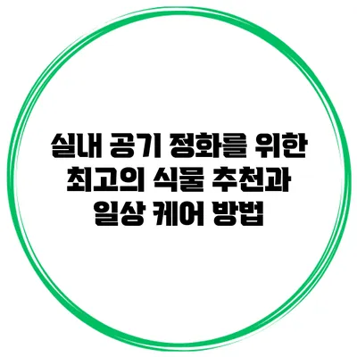 실내 공기 정화를 위한 최고의 식물 추천과 일상 케어 방법