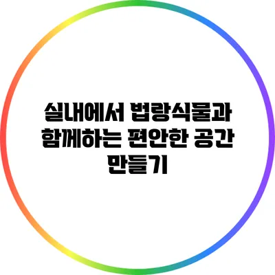 실내에서 법랑식물과 함께하는 편안한 공간 만들기