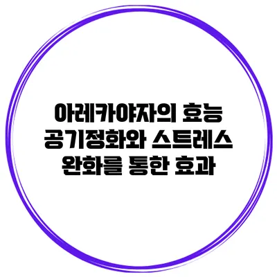 아레카야자의 효능: 공기정화와 스트레스 완화를 통한 효과