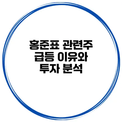 홍준표 관련주 급등 이유와 투자 분석