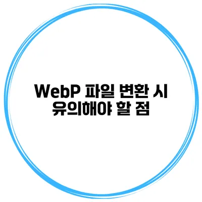 WebP 파일 변환 시 유의해야 할 점